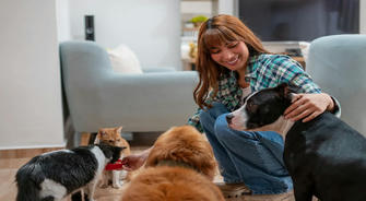 Pet Insurance:What You Need to Know